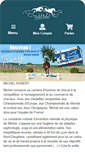 Mobile Screenshot of michel-robert.com